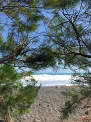 Naklejka premium river in the forest