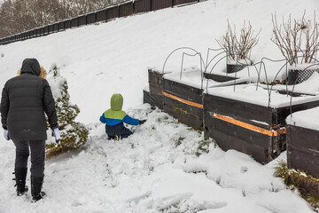 Beautiful view of family, child with his mother plays in winter garden near thuja. Sweden.