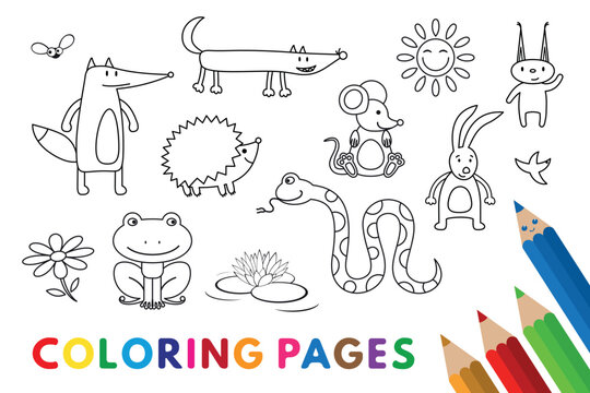 Funny animals coloring book. Vector coloring book pages for children education