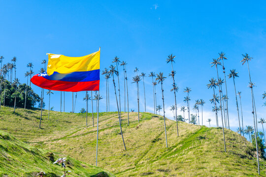 views of cocora valley and its tall palm trees