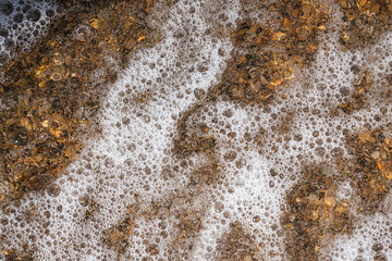 A wave of foam washes the shore. Natural background for screensavers. High quality photo