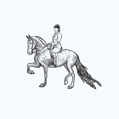 Vintage hand drawn sketch dressage horse riding  sport