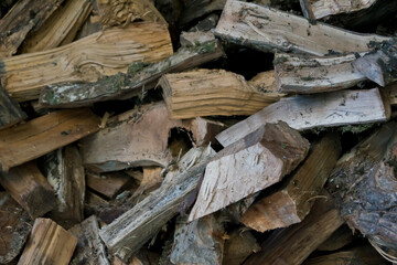 Leña para el invierno
