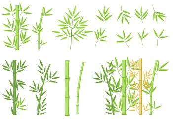 Bamboo green decoration elements in flat style. Vertical borders from stems, isolated leaves and sticks and fresh natural plant. Detailed bamboo shoots set
