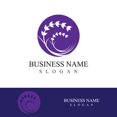 Fresh lavender flower logo vector