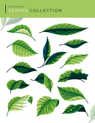 flat design leaves design collection