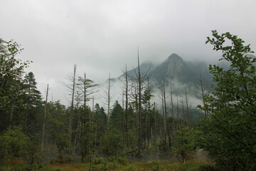 JAPAN ALPS KAMIKOCHI, August 2022