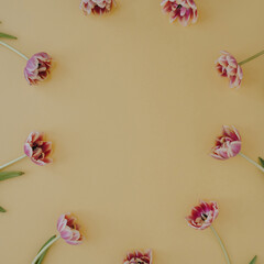 Aesthetic minimal floral composition. Blank frame of tulip flowers on pale pastel yellow background. Creative lifestyle, summer, spring concept. Copy space, flat lay, top view