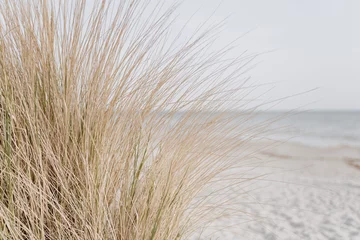 Foto auf Glas Sand dunes with beach grass. Grass on the beach © Floral Deco