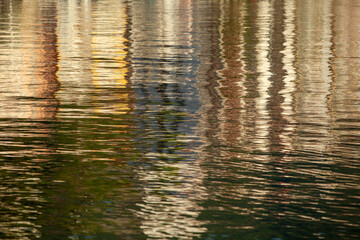 reflection in water