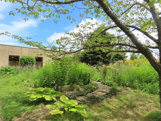 滋賀県、比叡山のガーデンミュージアム比叡にて。