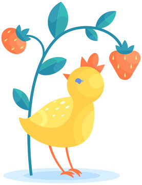 Vector stylized illustration of cute chick and strawberry branch isolated on white background