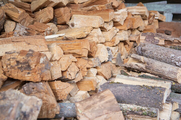 many logs stacked in rows, logging