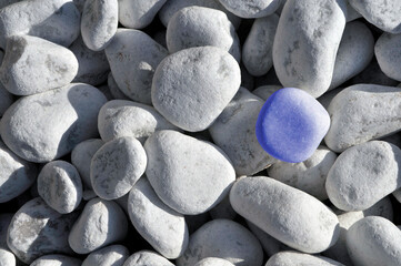 white river stones with one blue stone - concept of difference and singularity
