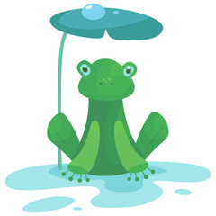 Vector illustration of cute stylized  frog and water lily isolated on white background