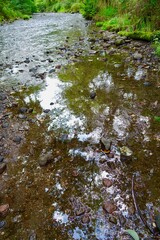 渓流の岩場　水面に映る森