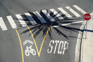 Sustainability and Transport: Symbolic Image of a Crosswalk with Bicycle Lane and Stop Sign at Car Lane