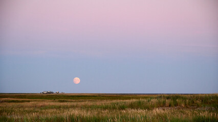 MondaufgangUnterhalb des Abendrotes geht über den Salzwiesen von Sankt Peter-Ording schon der Mond auf.