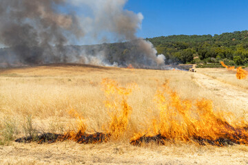 Grass Fire in California