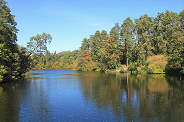 Autumn. Fall season and picturesque landscape with yellow trees and pond. Yellowed leaves and trees in early autumn on the banks of a river or lake. Peaceful view of city park. Golden autumn season