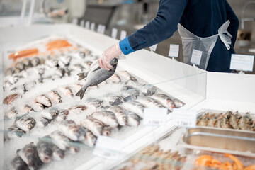 Fishmonger lays out fish on an ice counter in a supermarket. View from above on a counter with...