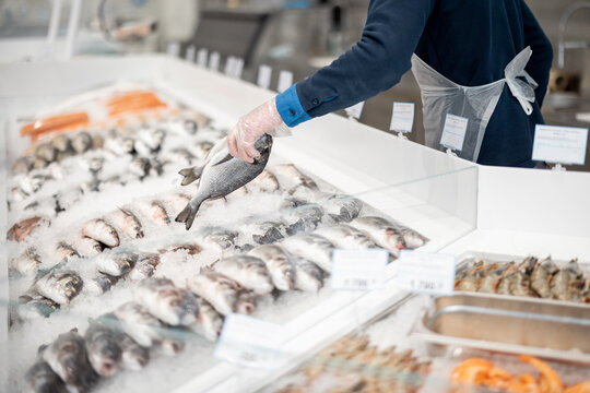 Fishmonger lays out fish on an ice counter in a supermarket. View from above on a counter with various seafood