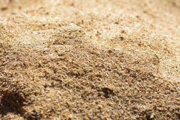 Sawdust, woodworking waste close-up