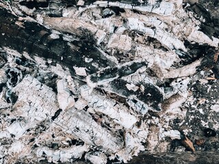 Burnt wood, coals. Consequences of the fire