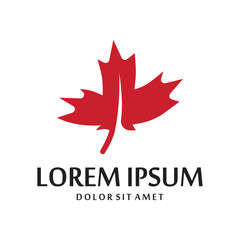 Maple leaf vector illustration