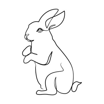 Bunny Rabbit continuous line art drawing