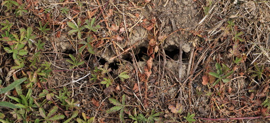 a dried up cracked ground