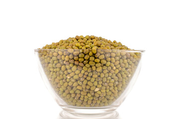 Lots of organic uncooked mung beans in a glass cup, close-up, isolated on a white background.