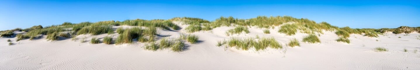Sandy dune beach as panorama background