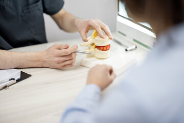 Physical therapist showing model of vertebral disc to a young woman patient during consultation at medic office. Concept of treatment of back pain