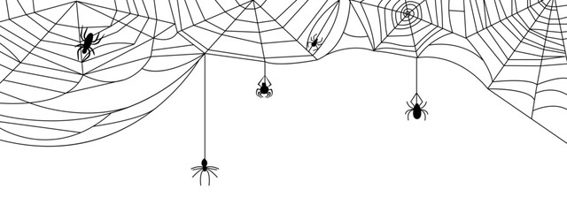 Black cobweb isolated banner. Spiderweb halloween background with spiders silhouettes. Spooky wall sticker, nets on white decent vector graphics