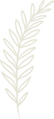 Obraz premium Organic fern illustration and badges logo template. Set of Minimalist stamp labels for tag with isolated fern leaves. Collection of hand drawn natural sign for simple rustic design.