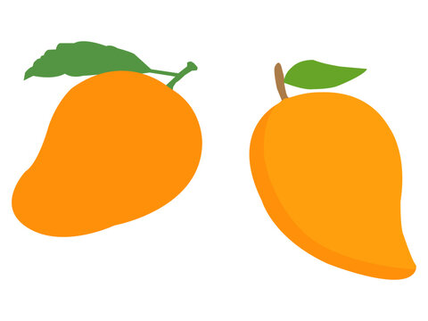 Mango vector illustration icon Stock Vector Image. Mango Royalty Free Vector Image.