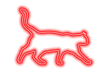 Neon red cat isolated on white. The cat walks with its tail raised high