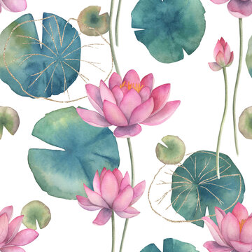 Watercolor seamless pattern with lotus. Hand drawn floral illustration on white background