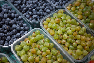 berries in containers on the counter of the supermarket, food for customers