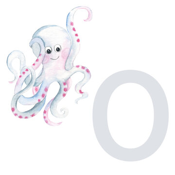 Letter O, octopus, cute kids animal ABC alphabet. Watercolor illustration isolated on white background. Can be used for alphabet or cards for kids learning English vocabulary and handwriting