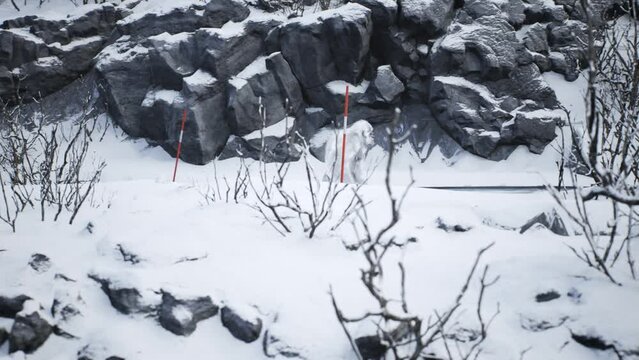 Hairy Bigfoot Walks Snow Winter Landscape Monster 3D Rendering Animation 4K