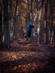 mountain biker jumping in autumn forest