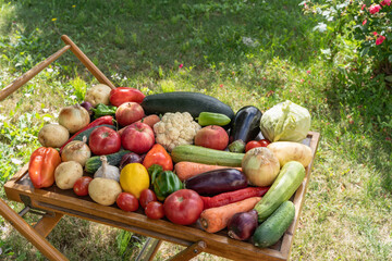 Layout made with of various vegetables and fruits on a table in a garden, outdoor