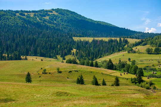 mountainous countryside landscape in summer. green rural scenery with grassy pastures and forested hills. wonderful sunny weather with blue sky