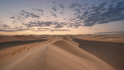 Fototapeta na wymiar Sand dunes from the Saudi sunset