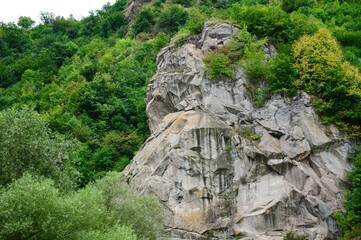 Rocky mountain with forest, Armenia