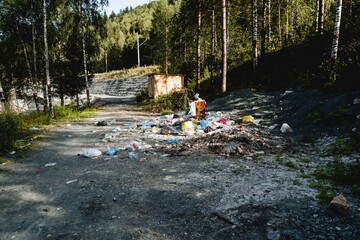 A lot of garbage in the forest, scattered remnants of human life, an ecological catastrophe, a spontaneous landfill, trouble in the wild.