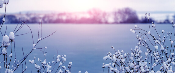 Winter landscape with fluffy snow-covered plants on the river bank at sunrise