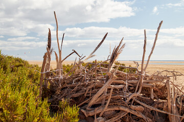A windbreak, built from natural materials, on the beach